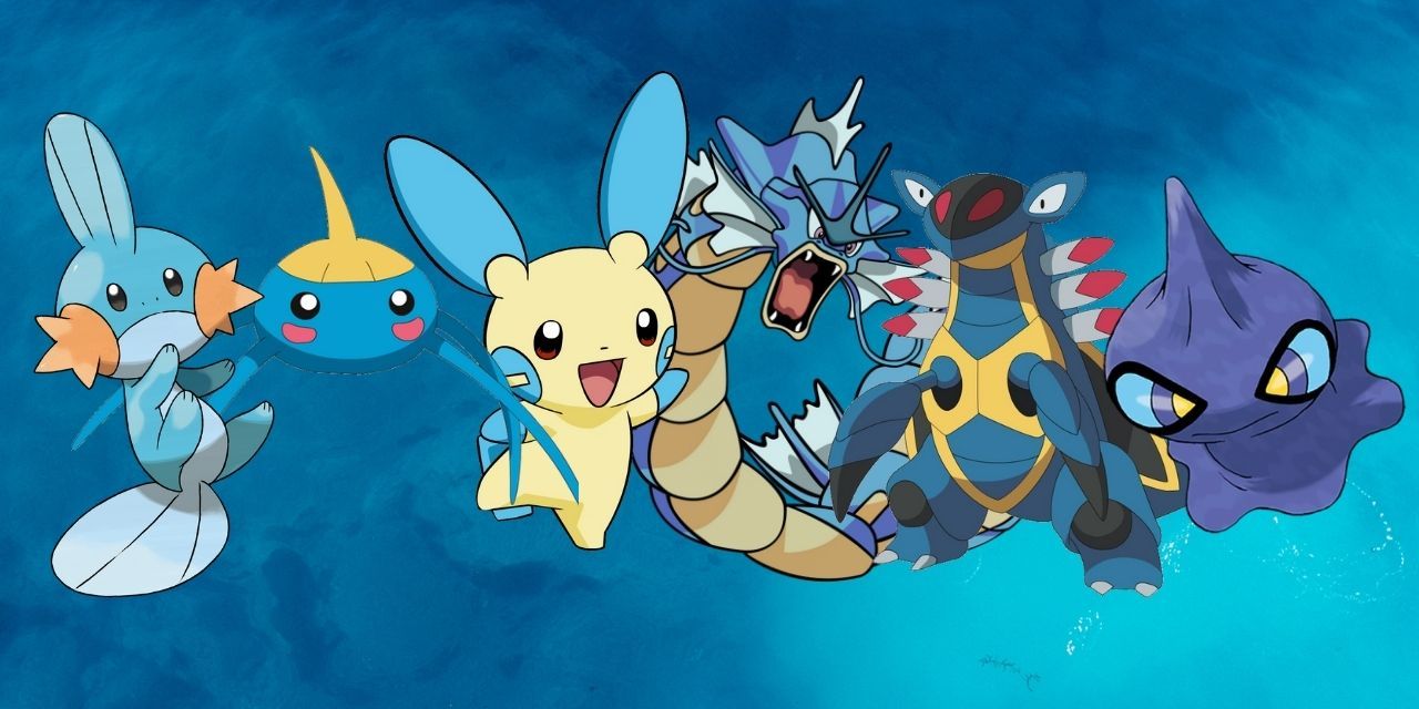 From left to right - Mudkip, Surskit, Minun, Gyarados, Armaldo and shiny shuppet.