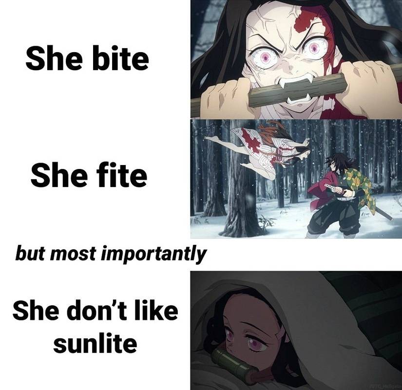 Demon Slayer Nezuko Duality Meme