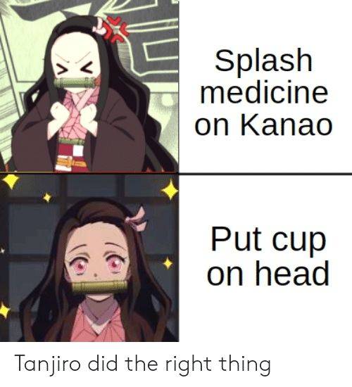 Demon Slayer 10 Hilarious Nezuko Memes That Will Have You Cry Laughing