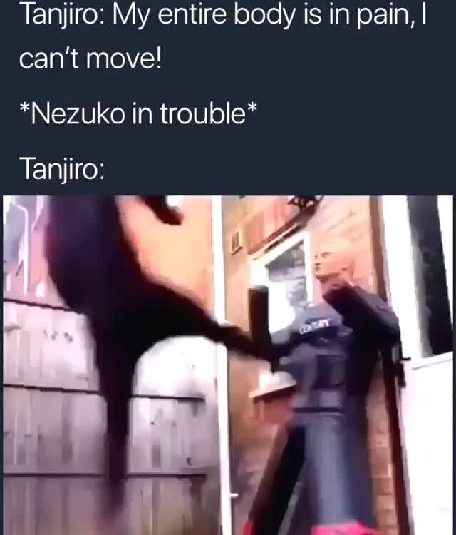 Demon Slayer Tanjiro Saves Nezuko Meme