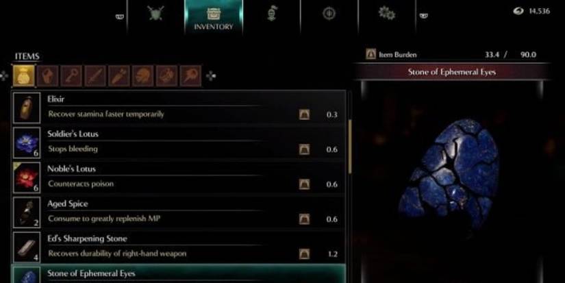 Demon's Souls Stone of Ephemeral Eyes in the inventory menu