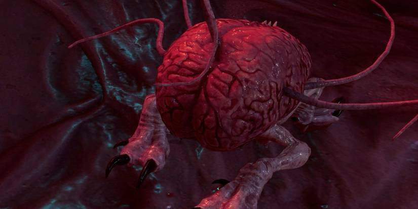 Baldur's Gate 3: Where To Go First