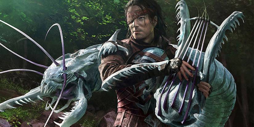 Dungeons and Dragons D&D Bard