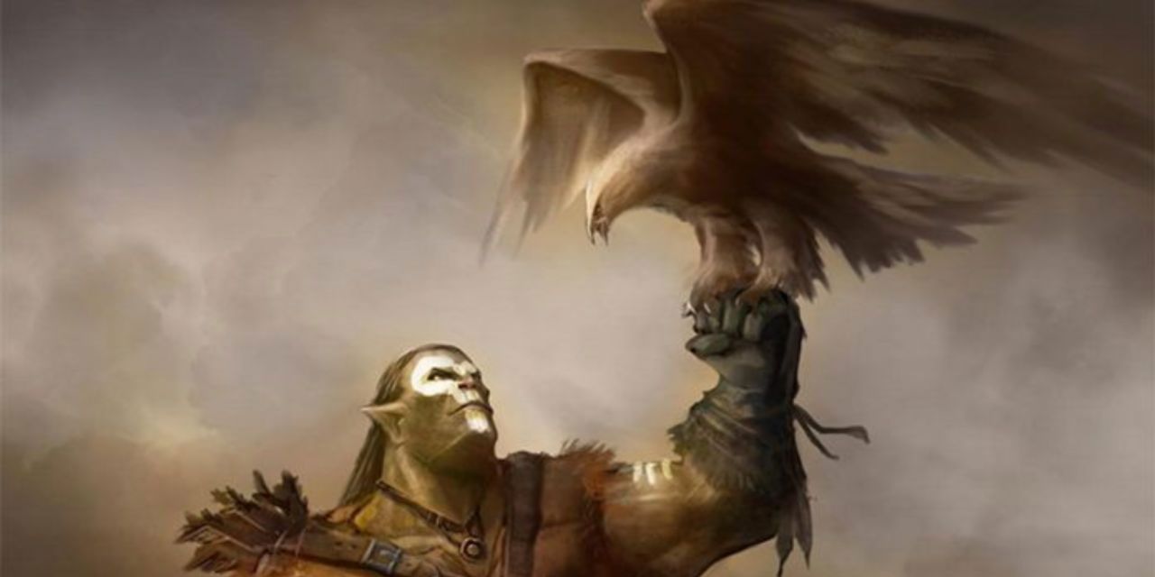 Dungeons and Dragons Orc with eagle