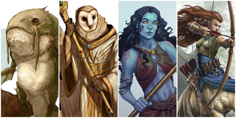 player character races 5e