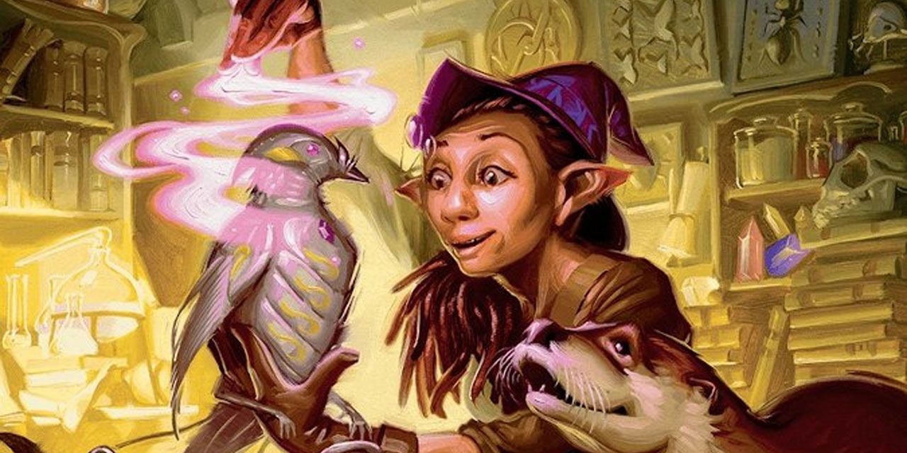 Dungeons and Dragons artificer and otter familiar