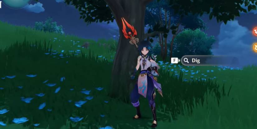 Genshin Impact Inazuma Buried Treasure Locations