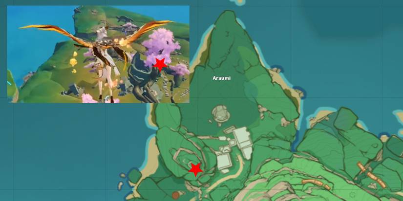 Araumi Electro Puzzles in Genshin Impact