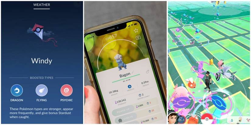 A Bagon And Windy Weather Pokemon GO