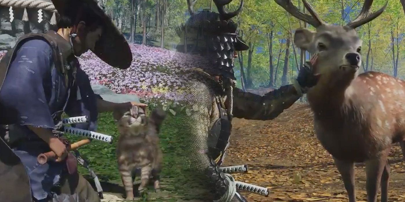 Ghost Of Tsushima Iki Animals