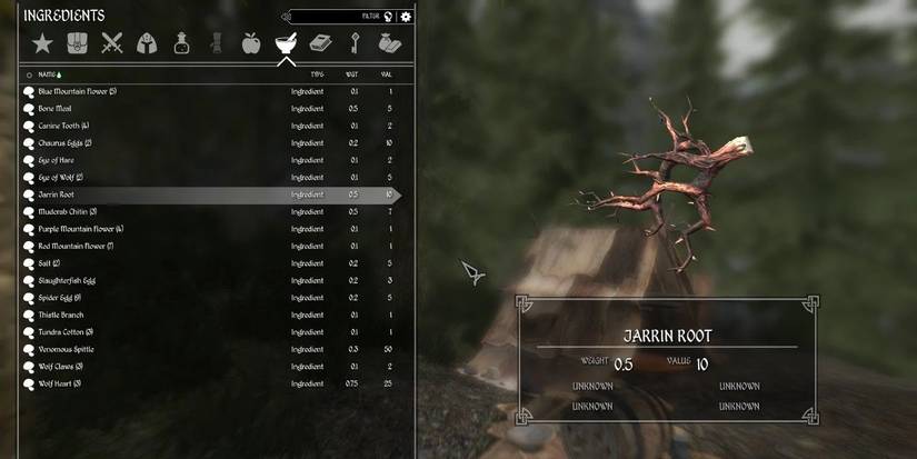 Jarrin Root From The Elder Scrolls V Skyrim