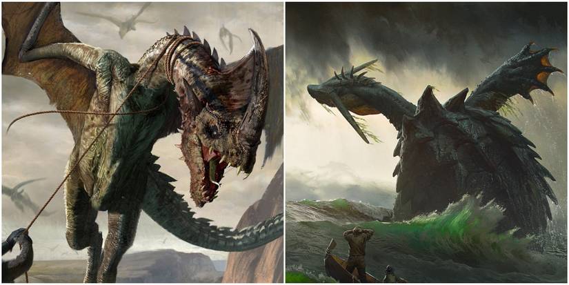 Draconids in The Witcher series