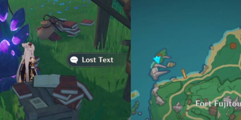 Lost Text in Inazuma