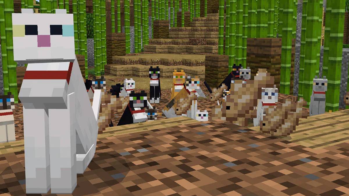 Minecraft-how-to-tame-cats