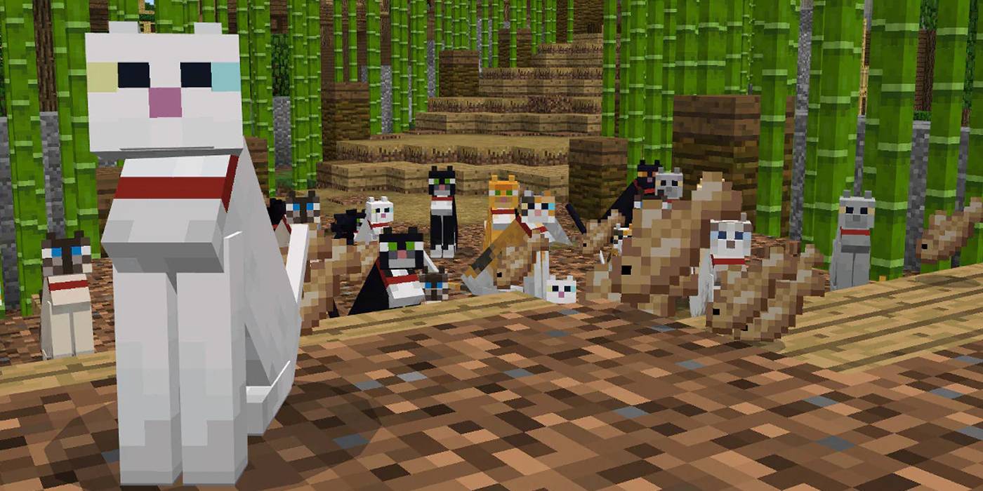 Minecraft How To Tame A Cat