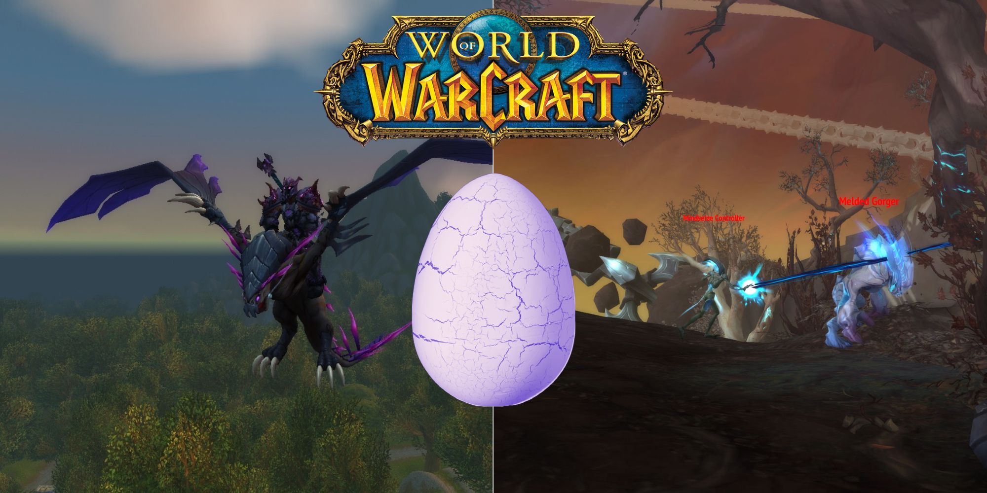 World Of Warcraft Where Is The Lost Razorwing Egg And What Is It Used For