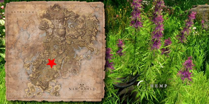 How to get Fiber and Hemp in New World Amazon MMORPG