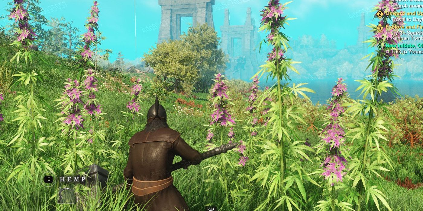 How to get Fiber and Hemp in New World Amazon MMORPG