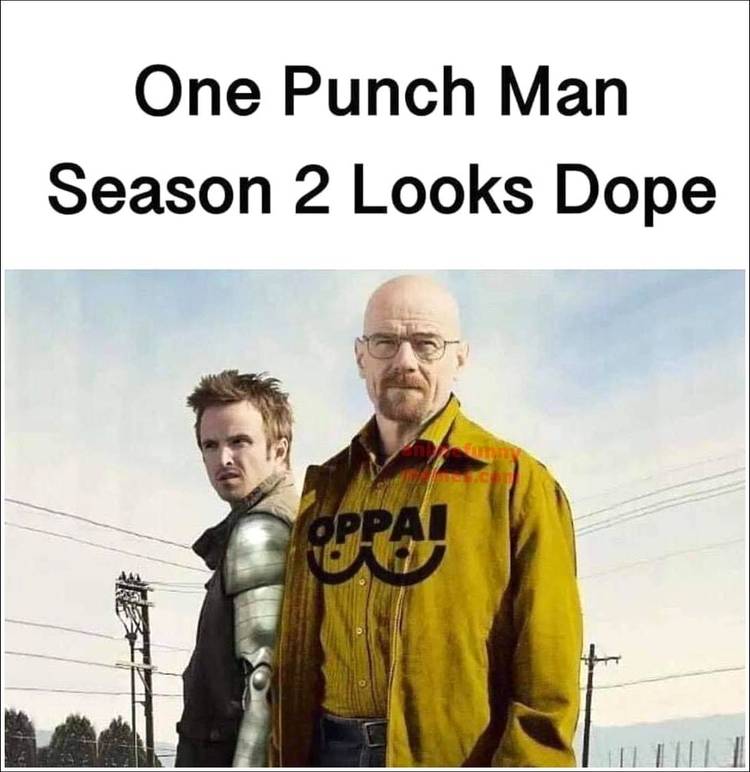 One Punch Man Breaking Bad Meme