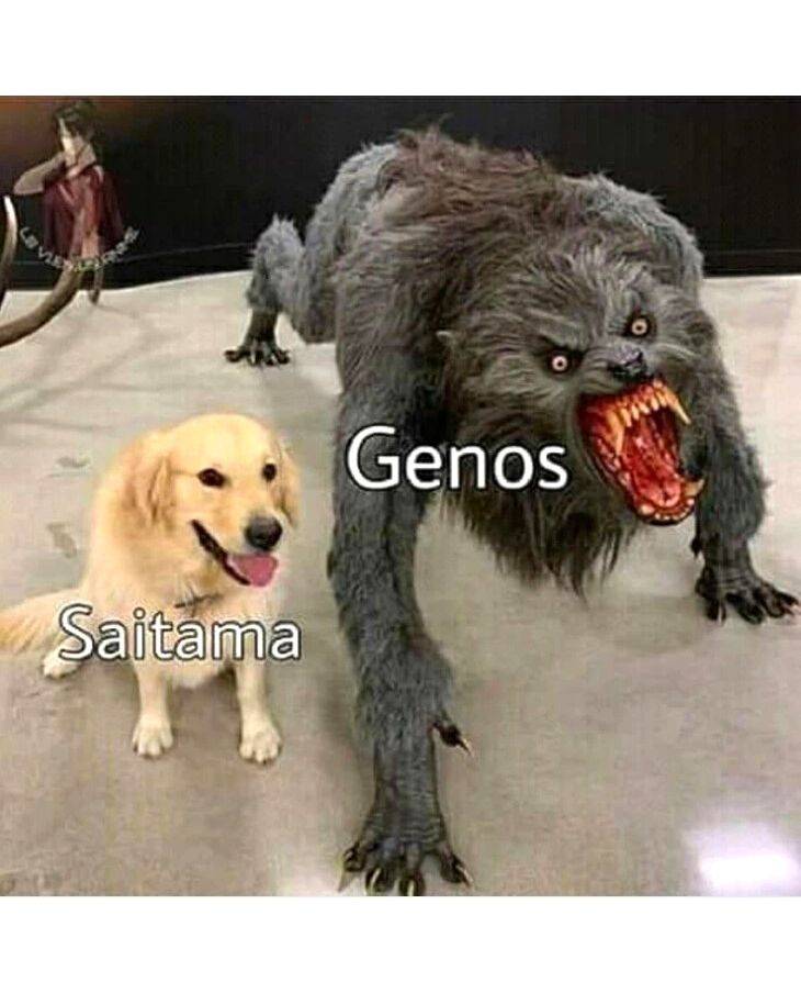 One Punch Man Genos And Saitama Dog Meme