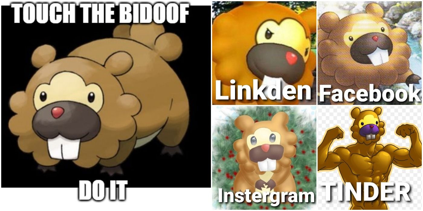 Pokemon Go 10 Hilarious Bidoof Day Memes