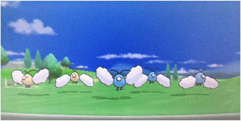 Pokemon X and Y Encountering a Swablu Horde