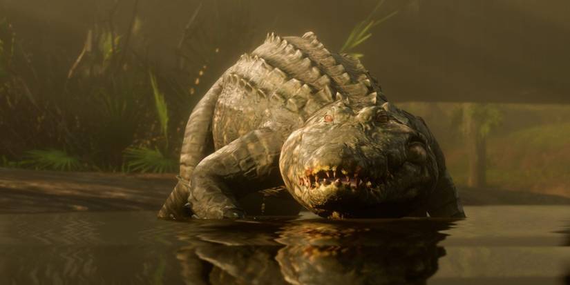 Red-Dead-Online-Teca Gator