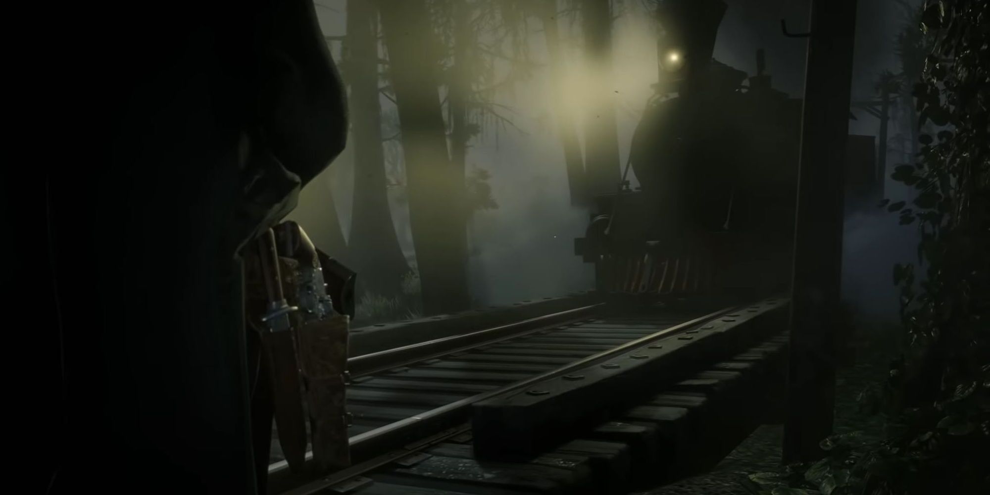 RedDeadOnline BloodMoney, Train Cinematic, night