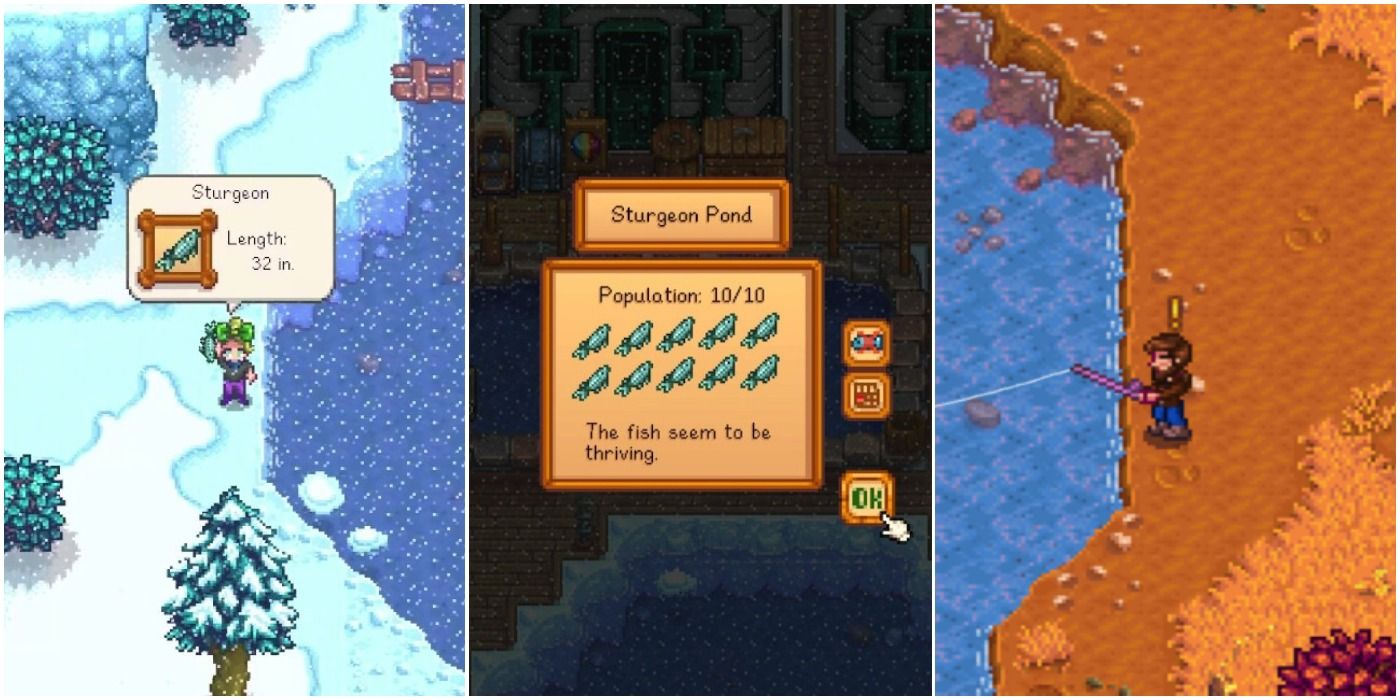 How to Catch Sturgeon Stardew Valley: Pro Angler Tips