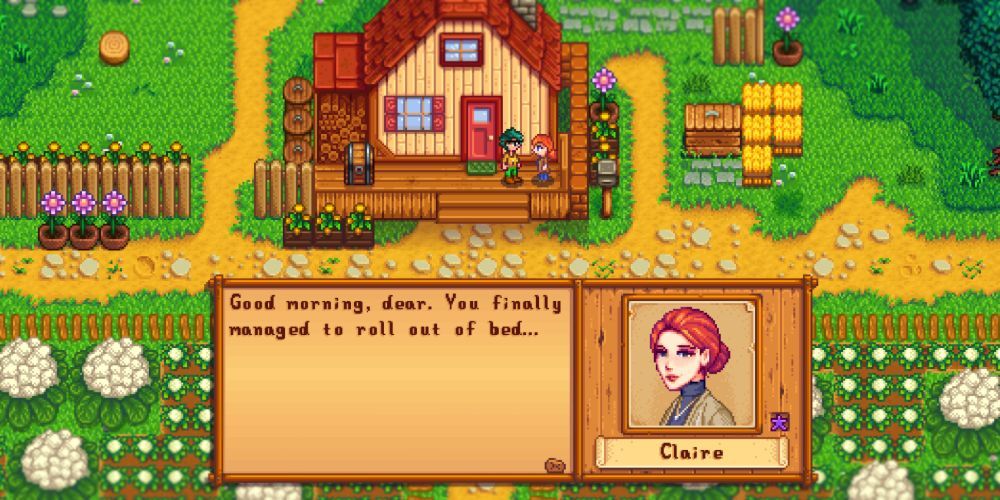 Stardew Valley Expanded Mod Claire NPC