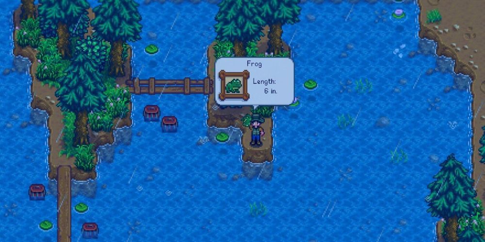 Stardew Valley Expanded Mod Frog Item