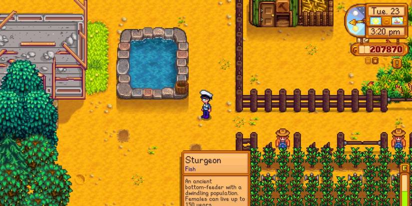 Stardew Valley Fish Pond At Farm