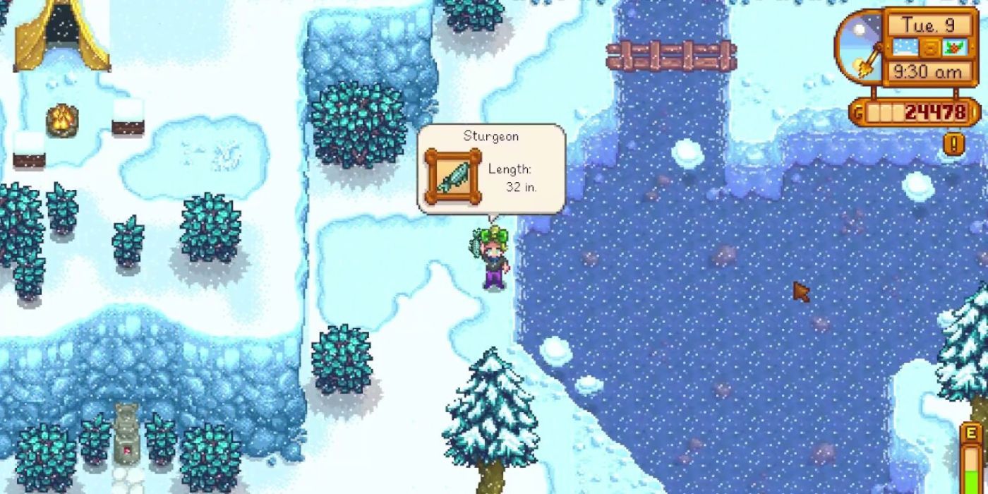 Stardew Valley Fishing For Sturgeon During Winter