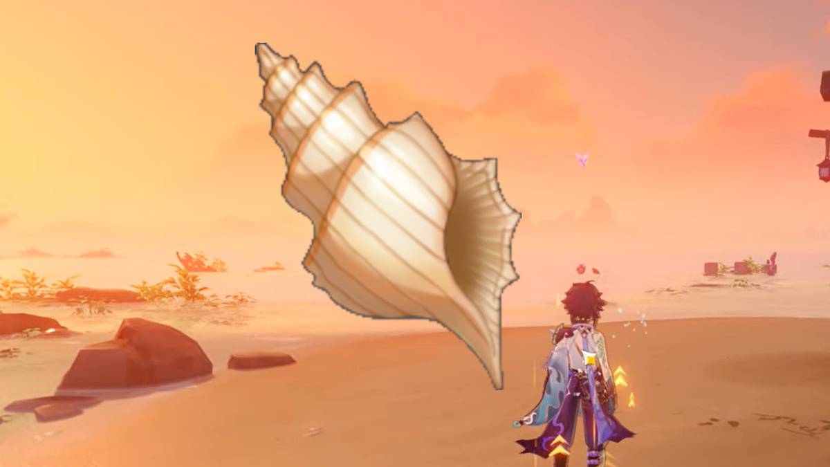 Takashi Location Genshin Impact Conch Mysterious Quest