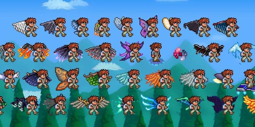 Terraria Best Wings