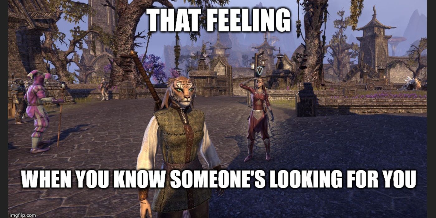 The Elder Scrolls Online 10 Memes Only True Fans Will Understand Stuga