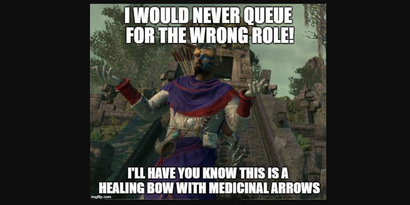 The Elder Scrolls Online 10 Memes Only True Fans Will Understand wrong role queue