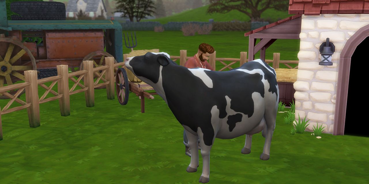 The Sims 4 Cottage Living Sim taking care of cow