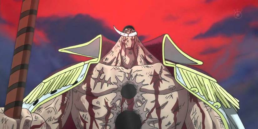 Whitebeard dies standing