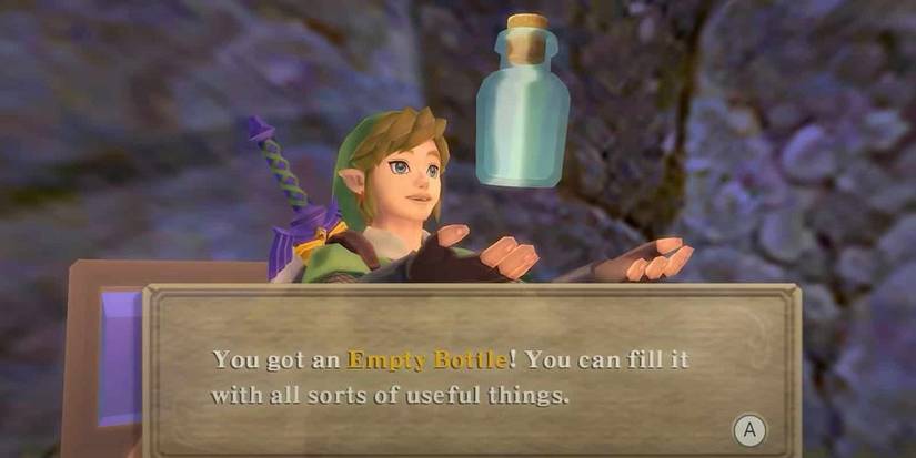 Zelda Skyward Sword Bottle Thunderhead Fire Dragon