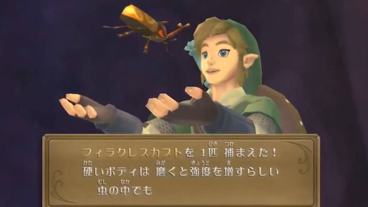 How to Catch Bugs with a Net Bug Net Skyward Sword