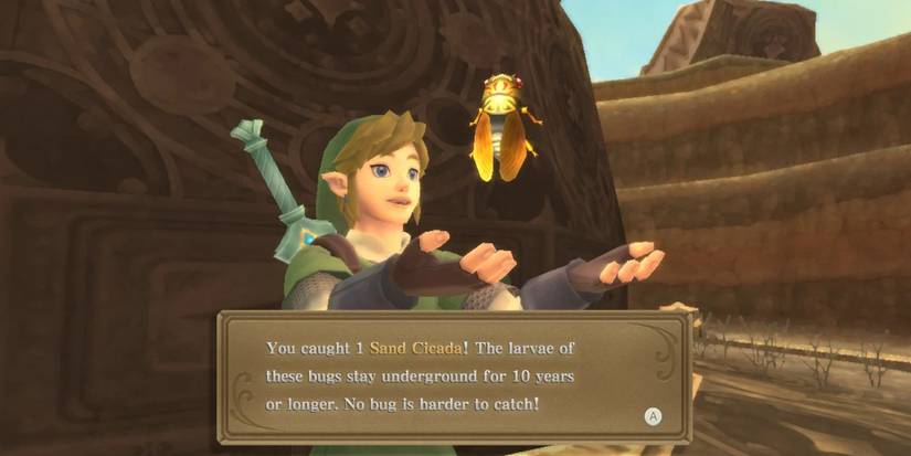 How to Catch Bugs with a Net Bug Net Skyward Sword