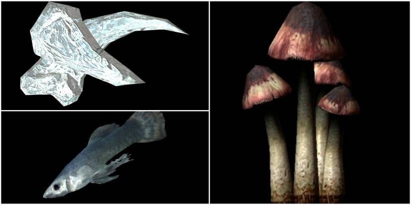 Abecean Longfin, Bleeding Crown, Ice Wraith Teeth