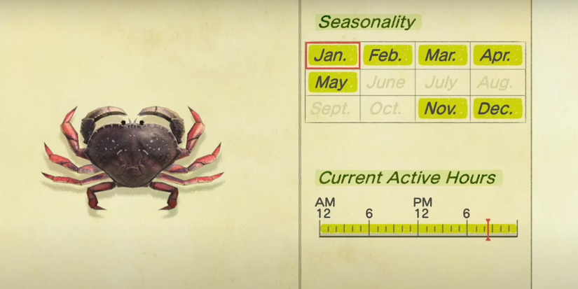year and day information about the purple crab.