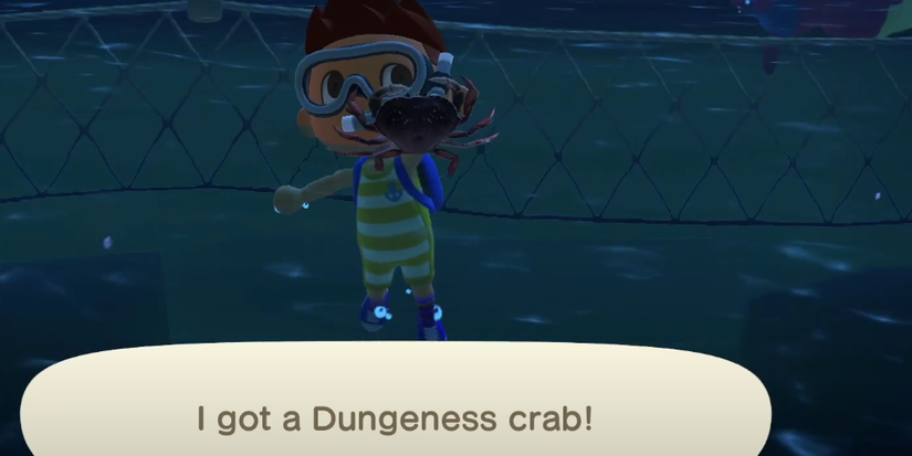 player catching a dungeness crab.