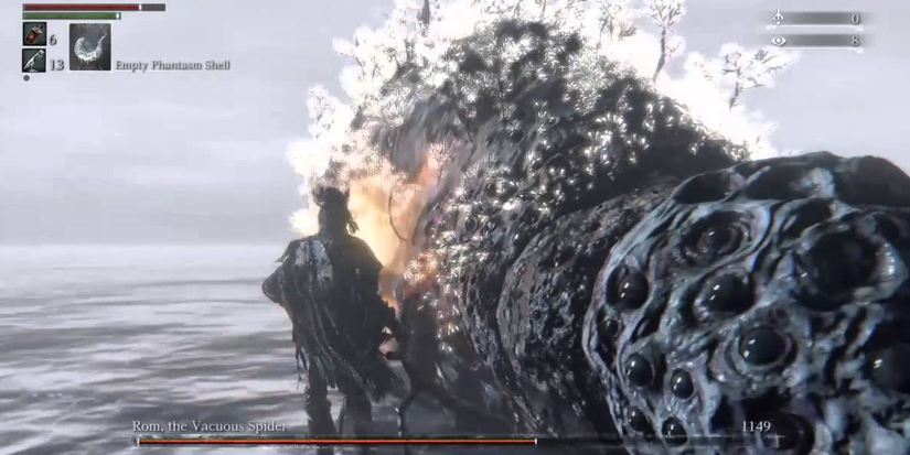 player fighting rom up close.