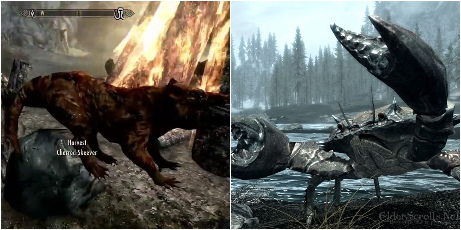 Left: charred skeever. Right: mudcrab