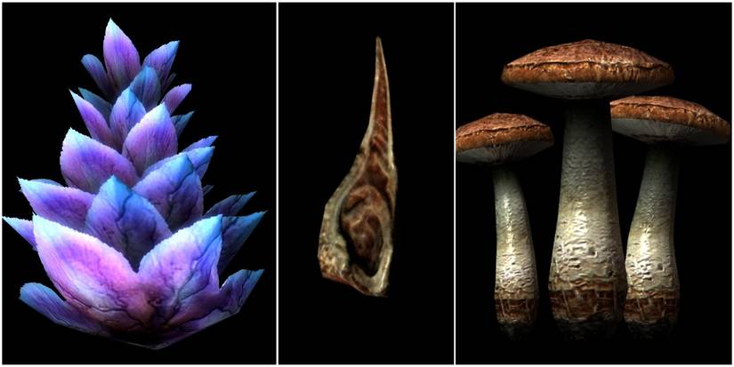 Deathbell, Falmer Ear, Blisterwort