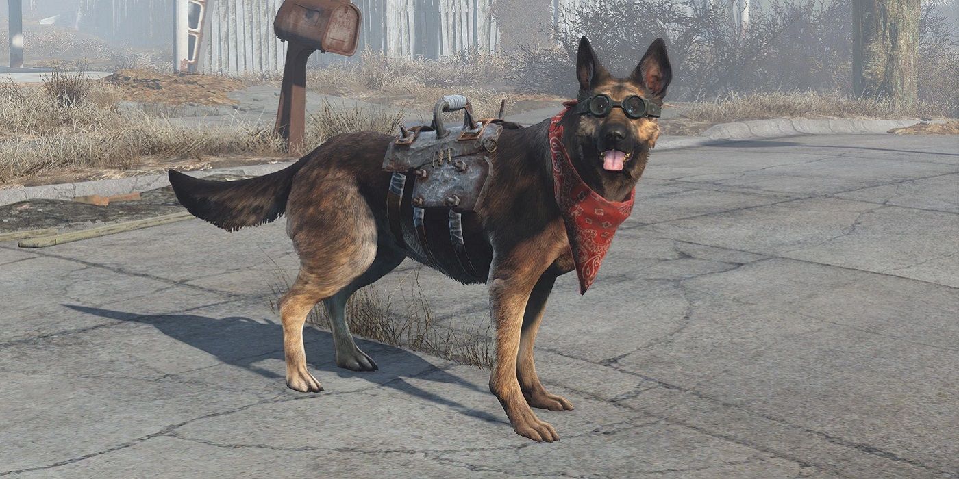 A screenshot from Fallout 4 showing Dogmeat wearing goggles and a neckerchief.