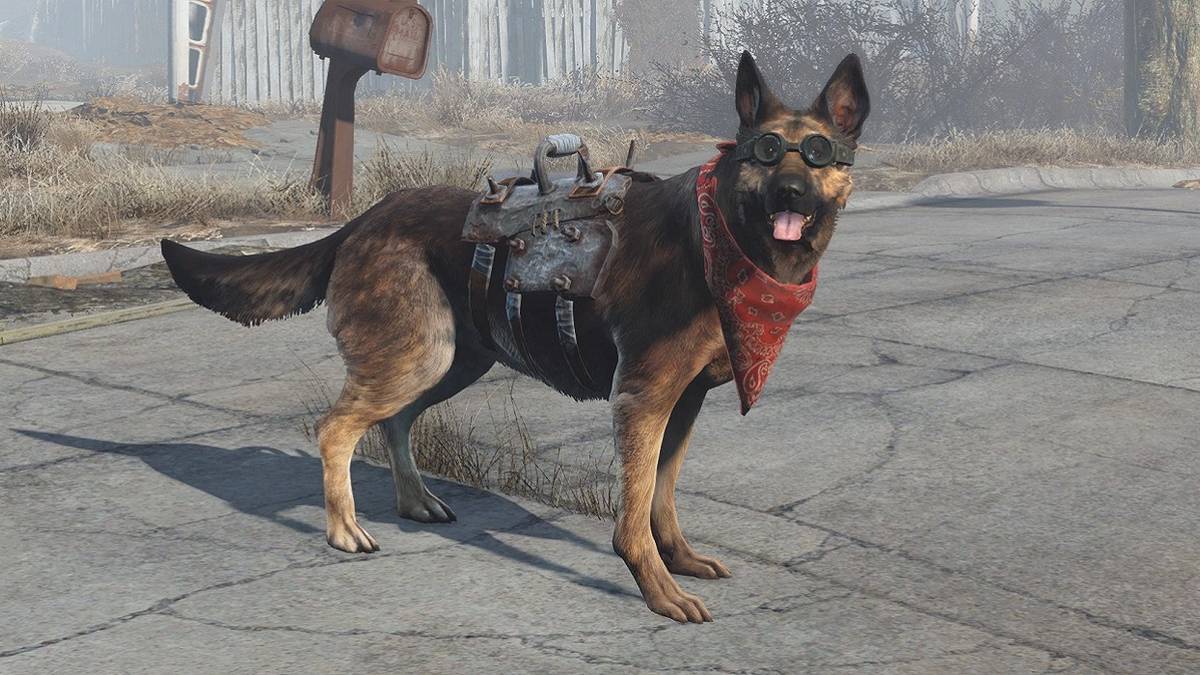 A screenshot from Fallout 4 showing Dogmeat wearing goggles and a neckerchief.